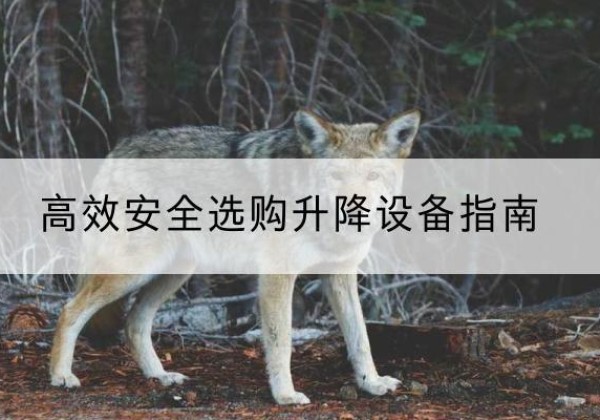 韩城升降货梯厂家推荐-*安全选购升降设备指南