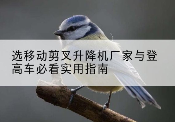 韩城电动升降机厂家-选移动剪叉升降机厂家与登高车必看实用指南