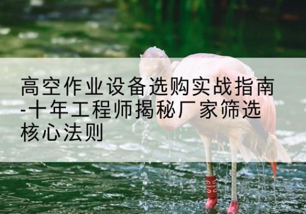 韩城剪叉式升降机厂家-高空作业设备选购实战指南-十年工程师揭秘厂家筛选核心法则